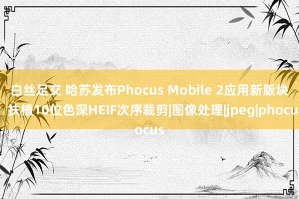 白丝足交 哈苏发布Phocus Mobile 2应用新版块，扶植10位色深HEIF次序裁剪|图像处理|jpeg|phocus