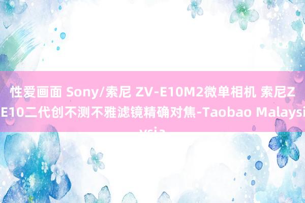 性爱画面 Sony/索尼 ZV-E10M2微单相机 索尼ZVE10二代创不测不雅滤镜精确对焦-Taobao Malaysia