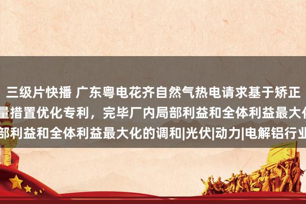 三级片快播 广东粤电花齐自然气热电请求基于矫正现象势博弈的热电厂能量措置优化专利，完毕厂内局部利益和全体利益最大化的调和|光伏|动力|电解铝行业